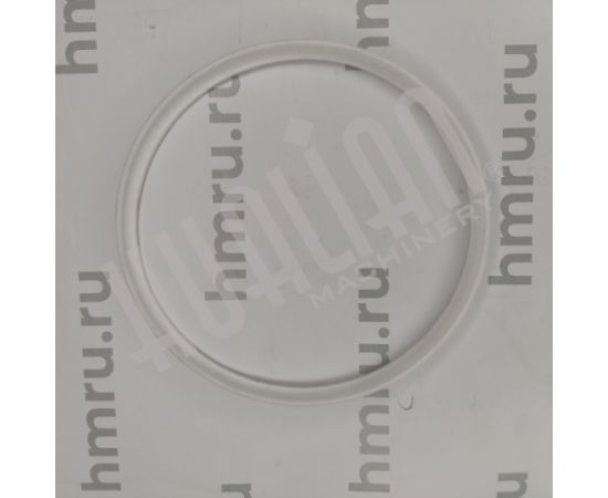 Уплотнительное кольцо PTFE на дозирующий поршень для PPF/LPF-5000, изображение 2
