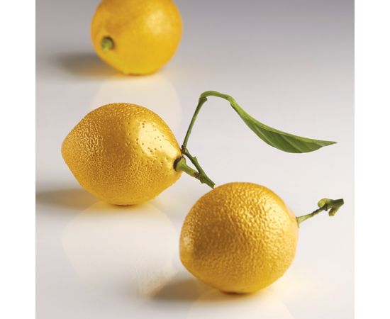 Форма силиконовая двойная "Лимон" d53мм h70мм, 85мл, 8 ячеек AF006S