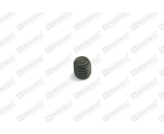 Винт Pizza Group 22-073 screw